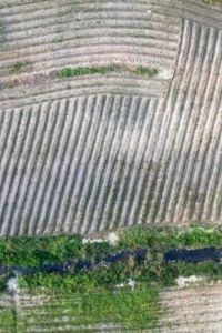 QUESTIONARO BONIFICHE