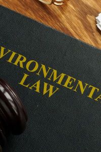 WEBINAR 11 GIUGNO 24