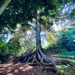 photo 1573321706270 2210d20ae51c scaled