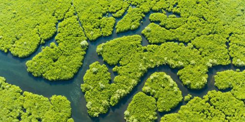 Assoreca - PUBBLICATO IL PRIMO RAPPORTO SUL MERCATO DELLE BONIFICHE AMBIENTALI IN ITALIA!