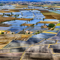 IL MARE DEL PIEMONTE E A QUADRETTI Piemonte Italia 1 66a71917
