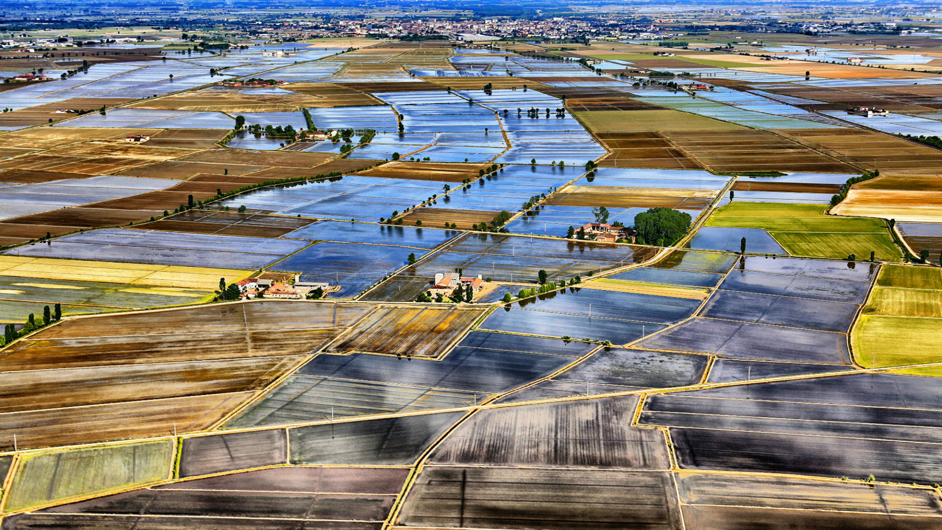 IL MARE DEL PIEMONTE E A QUADRETTI Piemonte Italia 1
