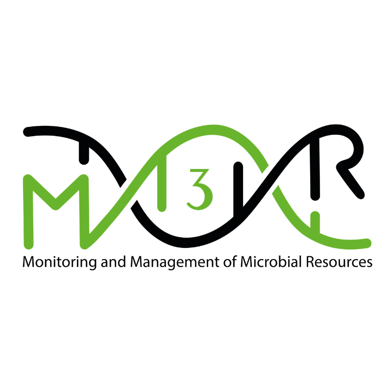 M3R S.R.L