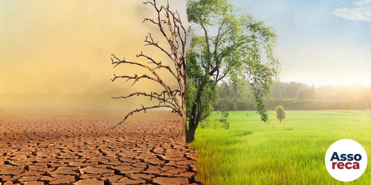 PREMIO ASSORECA 00f0a555