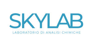 SKYLAB 1 2db89c0d