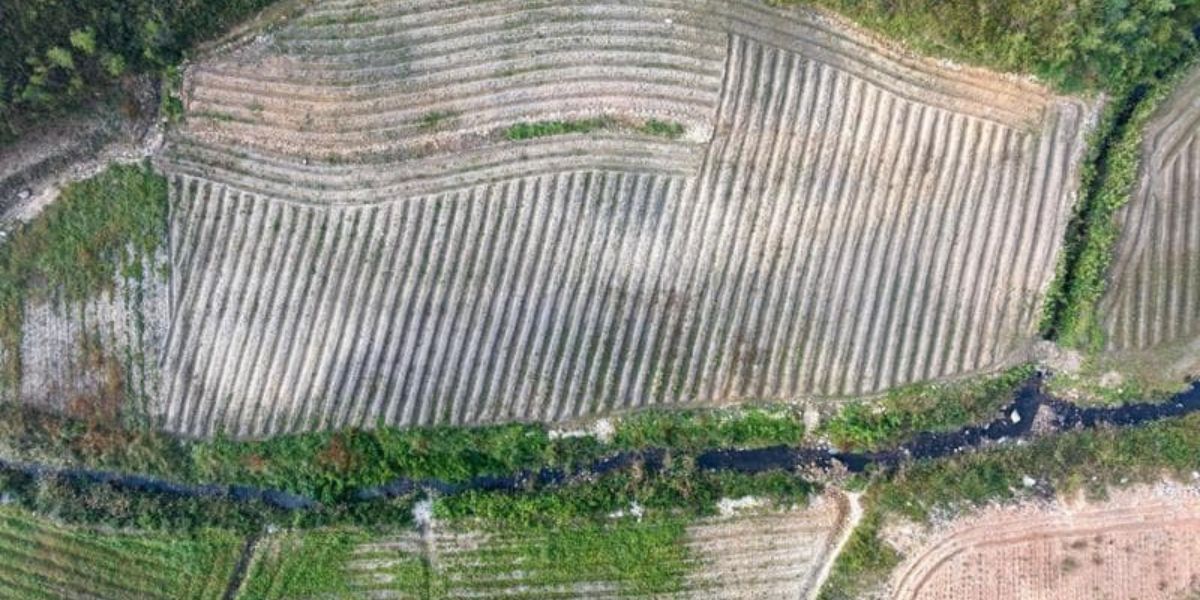 QUESTIONARO BONIFICHE 9a54cc77