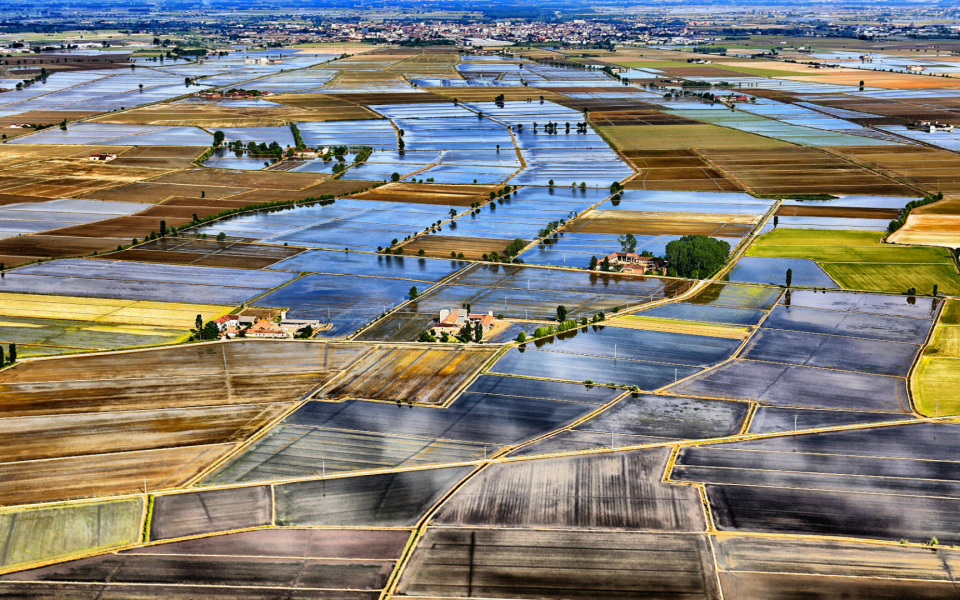 IL MARE DEL PIEMONTE E A QUADRETTI Piemonte Italia 1 a5786e71