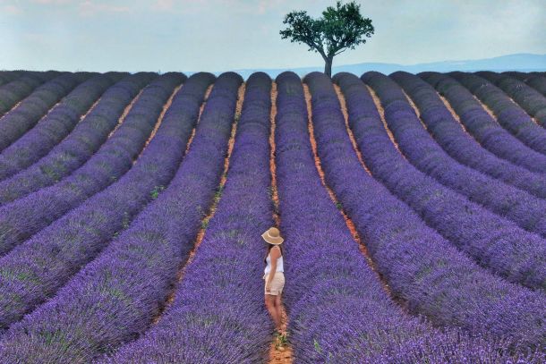 blog post warm breeze and the scent of lavender why we love provence ca0aebc5
