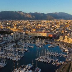 IMG 20250206 WA0001 cfbbbadf